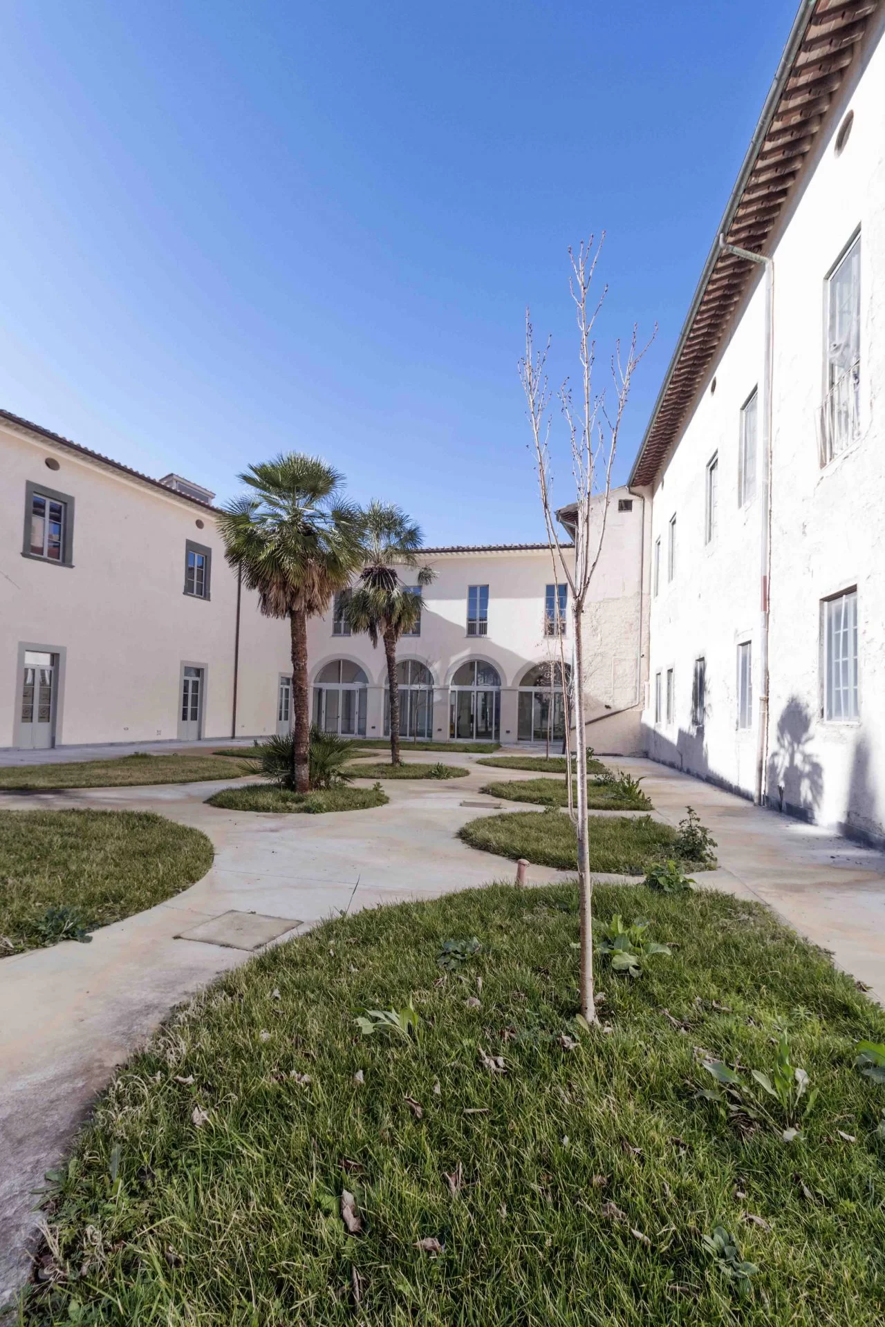 Verifica modelli BIM Scuola Normale di Pisa
